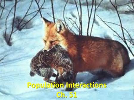Population Interactions Ch. 51. Ecological Community Interactions between all living things in an area Coevolution  changes encourages by interactions.