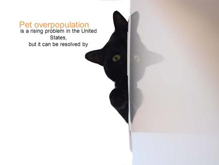 Pet overpopulation is a rising problem in the United States, but it can be resolved by.