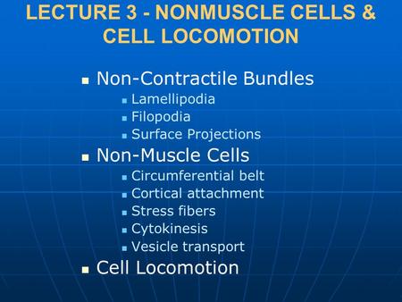 LECTURE 3 - NONMUSCLE CELLS & CELL LOCOMOTION Non-Contractile Bundles Lamellipodia Filopodia Surface Projections Non-Muscle Cells Circumferential belt.