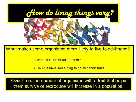 How do living things vary?