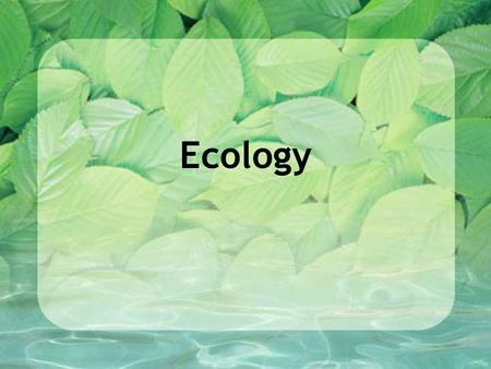Ecology. Ecology - the study of the interaction between living things and their environment.