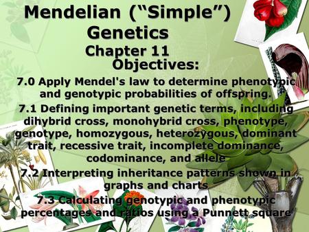 Mendelian (“Simple”) Genetics Chapter 11 Objectives: 7.0 Apply Mendel's law to determine phenotypic and genotypic probabilities of offspring. 7.1 Defining.