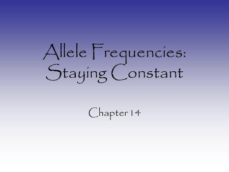 Allele Frequencies: Staying Constant Chapter 14. What is Allele Frequency? How frequent any allele is in a given population: –Within one race –Within.