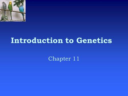 Introduction to Genetics Chapter 11. What is genetics?  Genetics is the scientific study of heredity.