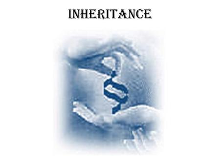 Inheritance Chapter 7. Inheritance: the way genes are passed down. If a father doesn’t have a leg does that mean his children will be born with out a.