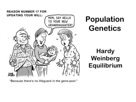 Population Genetics Hardy Weinberg Equilibrium. Population Genetics Hardy-Weinberg Principle/equilibrium –G. H. Hardy (1877- 1947) English mathematician.