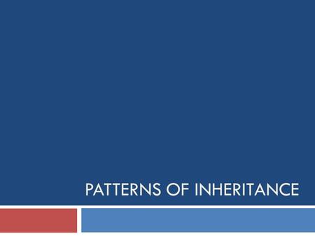 PATTERNS OF INHERITANCE. Variation  Continuous variation – results in genetic information contributed by several genes (Eg. Height in humans because.