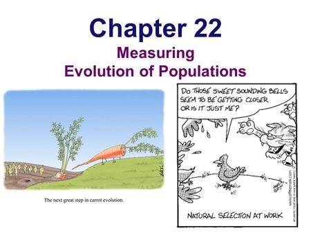 Chapter 22 Measuring Evolution of Populations Populations & Gene Pools  Concepts  a population is a localized group of interbreeding individuals 