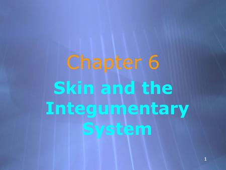1 Chapter 6 Skin and the Integumentary System Chapter 6 Skin and the Integumentary System.