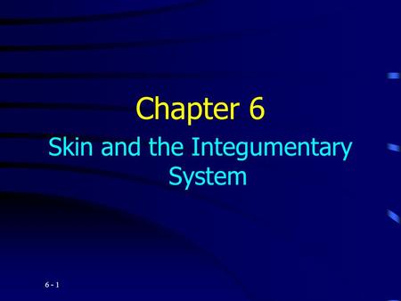 6 - 1 Chapter 6 Skin and the Integumentary System.
