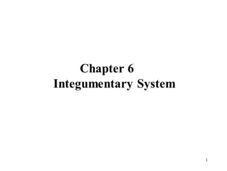 1 Chapter 6 Integumentary System. 2 Integumentary System Functions Composed of several tissues Maintains homeostasis Protective covering Retards water.