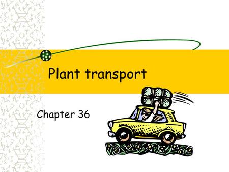 Plant transport Chapter 36. Plant transport Evolutionary changes Roots, Leaves, Stems Water Carbohydrates Minerals Light energy CO 2 O2O2.
