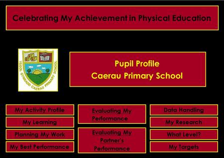 Pupil Profile Caerau Primary School