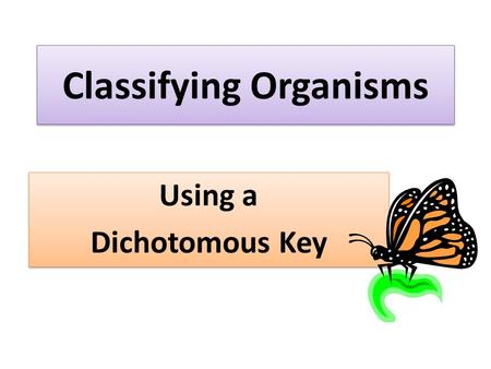 Classifying Organisms Using a Dichotomous Key Using a Dichotomous Key.