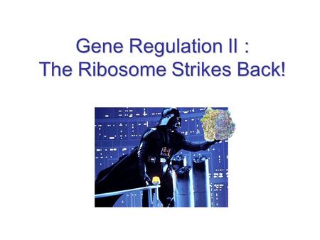 Gene Regulation II : The Ribosome Strikes Back!. Mechanisms Covered Attenuation Control –Tryptophan Biosynthesis Riboswitches –Tryptophan Biosynthesis.