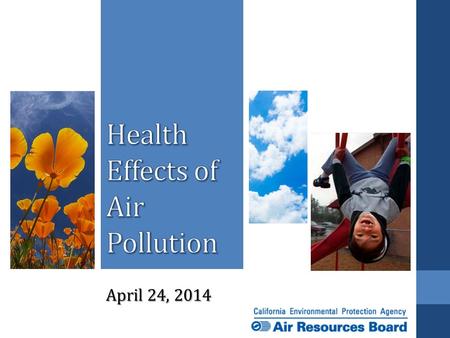 Health Effects of Air Pollution
