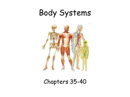 Body Systems Chapters 35-40. 35.1 Organization of the Body Nervous System –Structures: Brain Spinal cord Peripheral nerves –Function: Recognizes & responds.