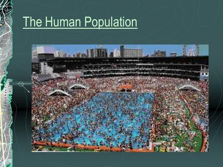 The Human Population Chapter 9 Notes. Developed Nations have strong social support systems (schools, healthcare, etc.), diverse industrial economies,