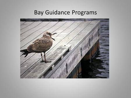 Bay Guidance Programs. The Bay Program partnership includes: 19 federal agencies Nearly 40 state agencies and programs in DE, MD, NY, PA, VA,