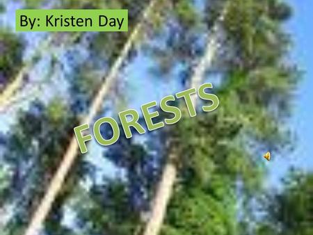 By: Kristen Day Forest Resources Many products are made from the flowers, fruits, seeds, and other parts of forest plants. Products can come from both.
