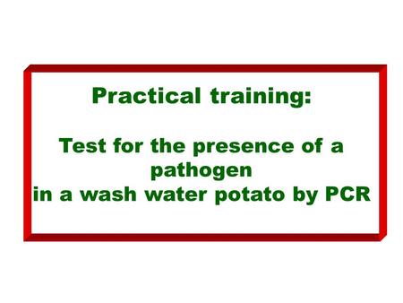 Practical training: Test for the presence of a pathogen in a wash water potato by PCR.