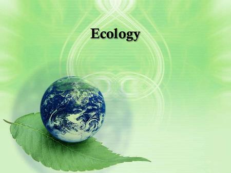 Ecology. What is ecology? Ecology is the scientific study of interactions among organisms and between organisms and their environment, or surroundings.