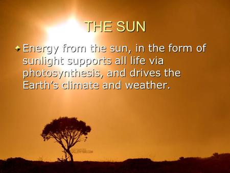 THE SUN Energy from the sun, in the form of sunlight supports all life via photosynthesis, and drives the Earth’s climate and weather.