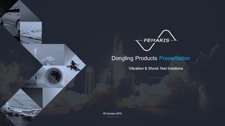 Dongling Products Presentation Vibration & Shock Test Solutions © Femaris 2015 www.femaris.ro.