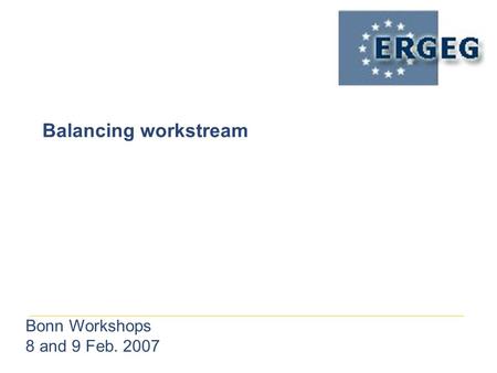 Bonn Workshops 8 and 9 Feb. 2007 Balancing workstream.