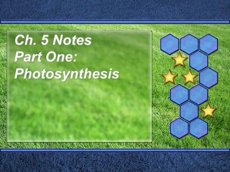 Ch. 5 Notes Part One: Photosynthesis DO NOW  1. Which type of diffusion involves the movement of water down the concentration gradient?  2. In which.