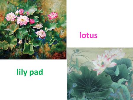 Lily pad lotus. maMa Liang Ma Liang and the Magic Brush.