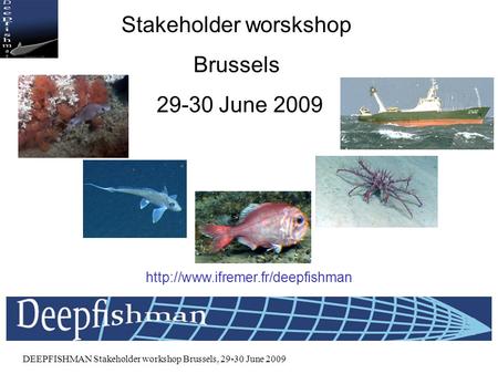 DEEPFISHMAN Stakeholder workshop Brussels, 29-30 June 2009 DEEPFISHMAN Stakeholder worskshop Brussels 29-30 June 2009