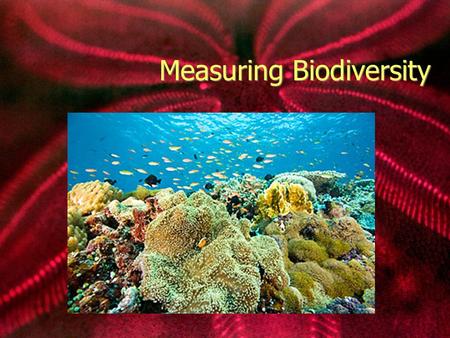 Measuring Biodiversity Biodiversity The number and variety of life forms found within a specific region. In order for biodiversity to remain high, diverse.