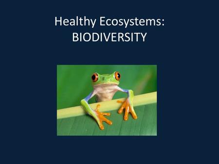 Healthy Ecosystems: BIODIVERSITY. Biodiversity variety of different species of micro-organisms, animals and plants all organisms must interact ecosystems.
