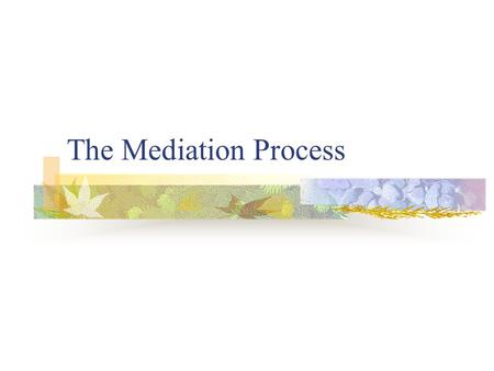 The Mediation Process.