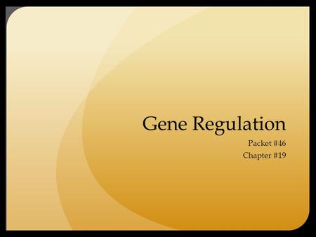 Gene Regulation Packet #46 Chapter #19.