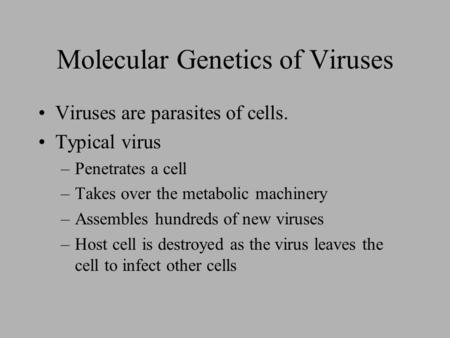 Molecular Genetics of Viruses Viruses are parasites of cells. Typical virus –Penetrates a cell –Takes over the metabolic machinery –Assembles hundreds.