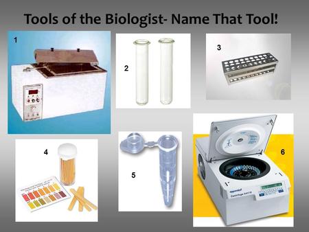 Tools of the Biologist- Name That Tool! 1 2 3 4 5 6.