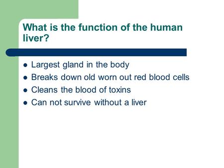 What is the function of the human liver? Largest gland in the body Breaks down old worn out red blood cells Cleans the blood of toxins Can not survive.