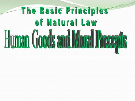 Law Divine law Natural law Civil law Canon law There are different kinds of law.