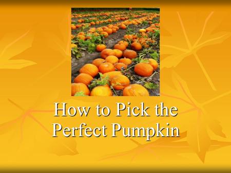 How to Pick the Perfect Pumpkin. Today my Aunt Kate and I are going to the pumpkin patch to pick the perfect pumpkin.