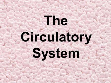 The Circulatory System. 1. Using your first two fingers (not your thumb), try to find your pulse. There are several places you can check. 2. Once you.