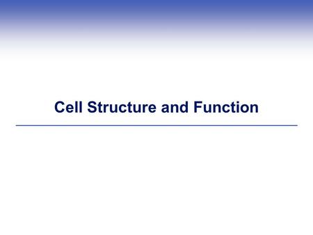 Cell Structure and Function. What is a Cell?  Each cell has a plasma membrane, cytoplasm, and a nucleus (in eukaryotic cells) or a nucleoid (in prokaryotic.