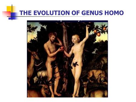 THE EVOLUTION OF GENUS HOMO 6 SPECIES OF HOMO 1. HOMO habilis 1. 2.3-1.5 mya 2. East Africa (Kenya, Tanzania, Ethiopia) & southern Africa 3. Increased.