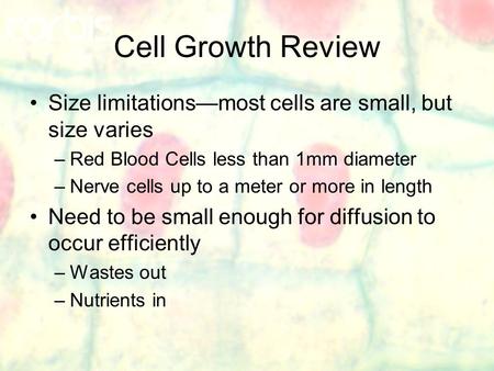 Cell Growth Review Size limitations—most cells are small, but size varies –Red Blood Cells less than 1mm diameter –Nerve cells up to a meter or more in.