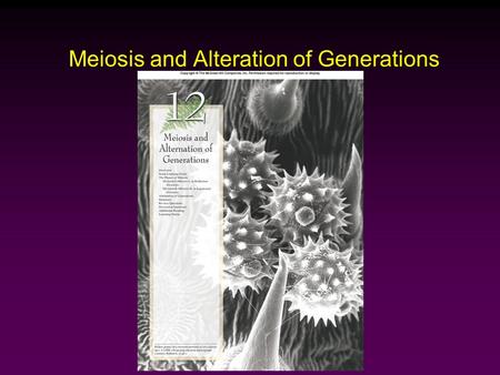 Meiosis and Alteration of Generations. Outline Overview  Asexual and Sexual Reproduction Phases of Meiosis  Meiosis I  Meiosis II Alternation of Generations.