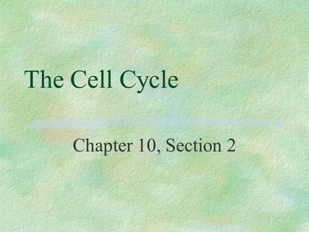 The Cell Cycle Chapter 10, Section 2. Why do cells divide? §For growth, repair, and reproduction.