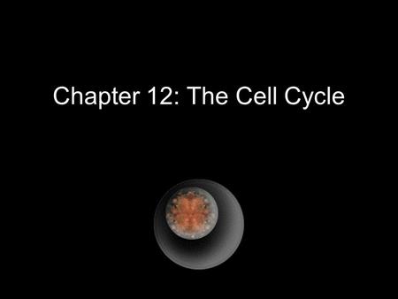 Chapter 12: The Cell Cycle. Cell division functions in reproduction, growth, and repair. Cell Division - the reproduction of cells Cell Cycle - the life.