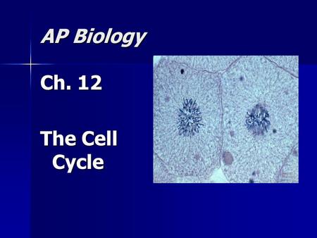 AP Biology Ch. 12 The Cell Cycle.