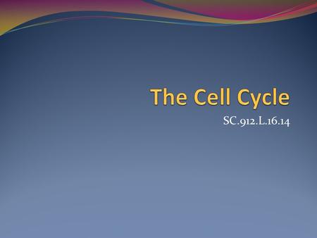 SC.912.L.16.14. The Cell Cycle Cells must divide to maintain maximum efficiency. Mitosis is the process in which somatic (body) cells divide to form a.